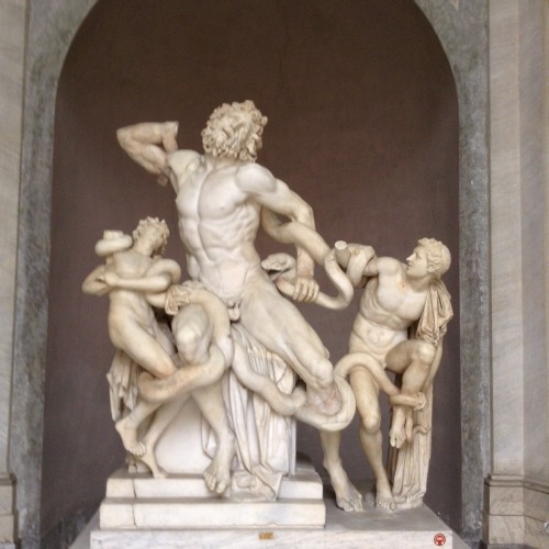 shatteryourleaves:The Laocoön from the Vatican Museum. This statue, likely a Roman copy of a Greek o