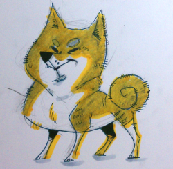 ironbran:  Shiba inu doodle! 