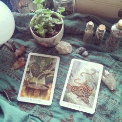 sagefae:  Tarot of the Week [16] The Green Man and The King of Bows. This is a time for both giving and receiving the natural flow of life both inwardly and outwardly. Be prepared to fins a new and thriving drive to begin projects, relationships, and