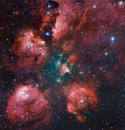 gamma&ndash;crucis:  The Cat’s Paw Nebula 