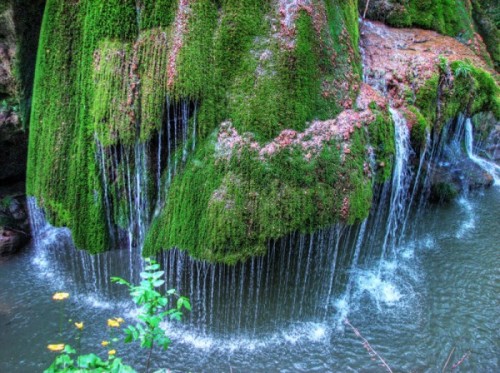 XXX gospel-of-the-witches:  Waterfall in Caraş-Severin photo