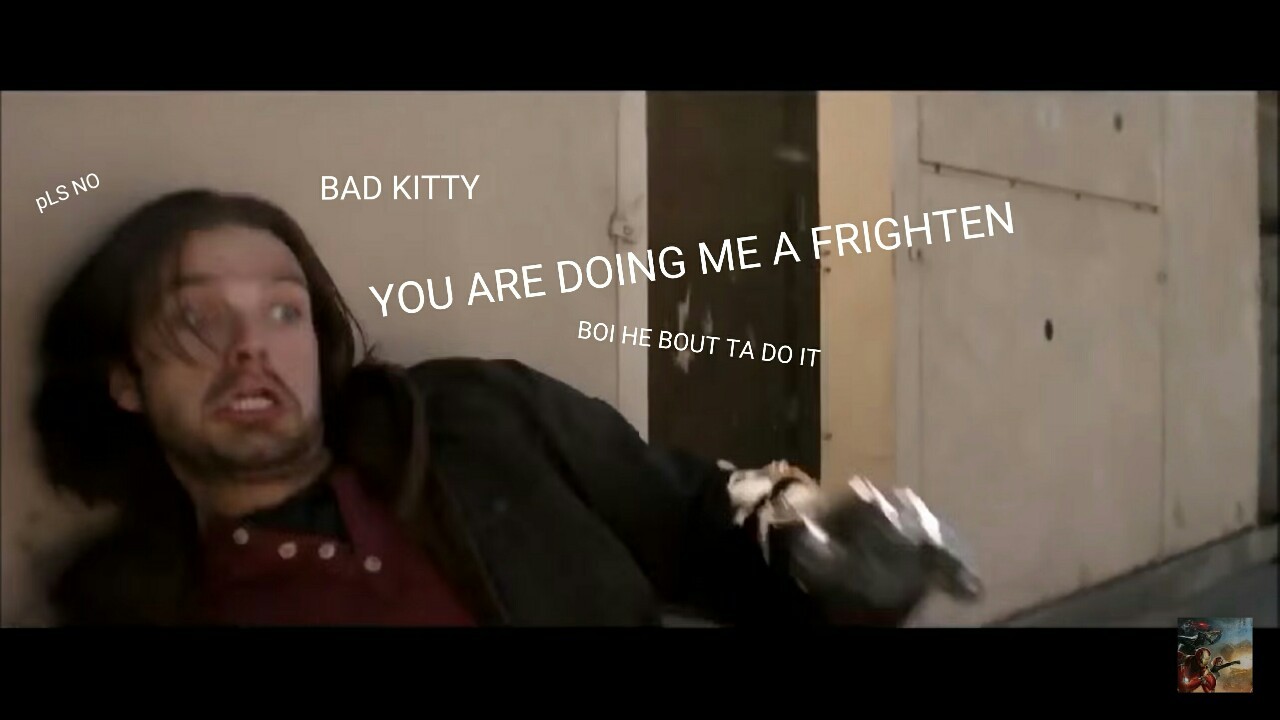 them-bucky-feels:  I assure you, I am a professional in the art of photo editing