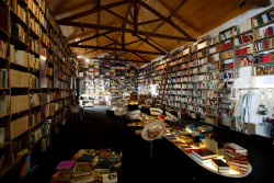 stylish-homes:  Bookstore in the medieval