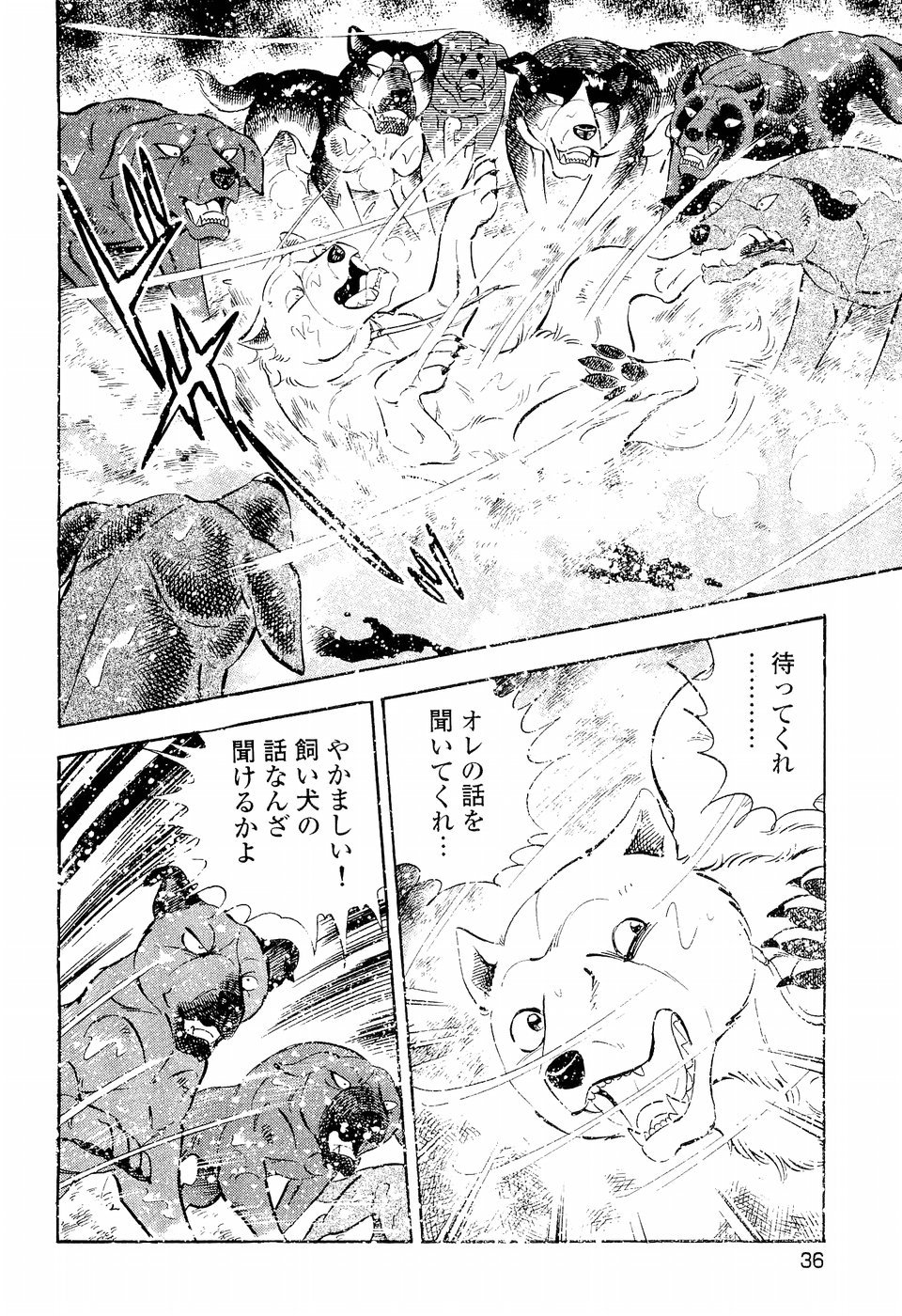 Ginga Legend Weed Explore Tumblr Posts And Blogs Tumgir Ginga Legend Weed Explore Tumblr Posts And Blogs Tumgir