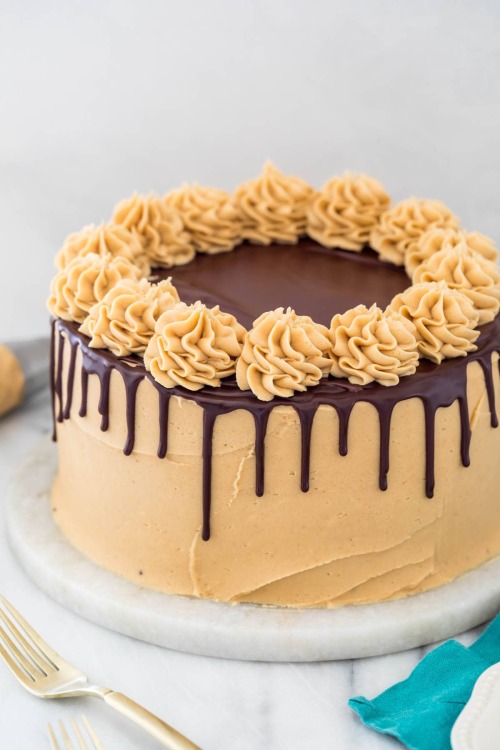 daily-deliciousness:Peanut butter chocolate cake