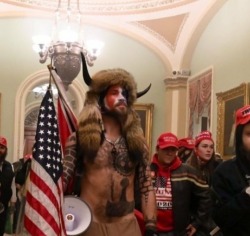 margridarnauds:headspace-hotel:loptrcoptr:loptrcoptr:Hey! Y’all know that dumb fuck with the fluffy horned hat on, running around shirtless inside the capitol? This guy?He has tattooed on his chest the valknutr (funky triangles), Yggdrasil (the tree