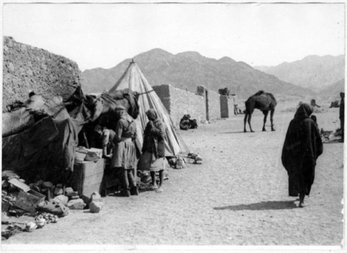 sniper-at-the-gates-of-heaven:aqaba, jordan, 1918