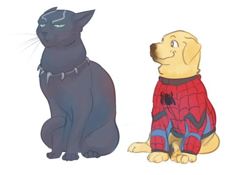 iwillbeinmynest:fennethianell:Did anyone thought about this?T'Challa has me crying