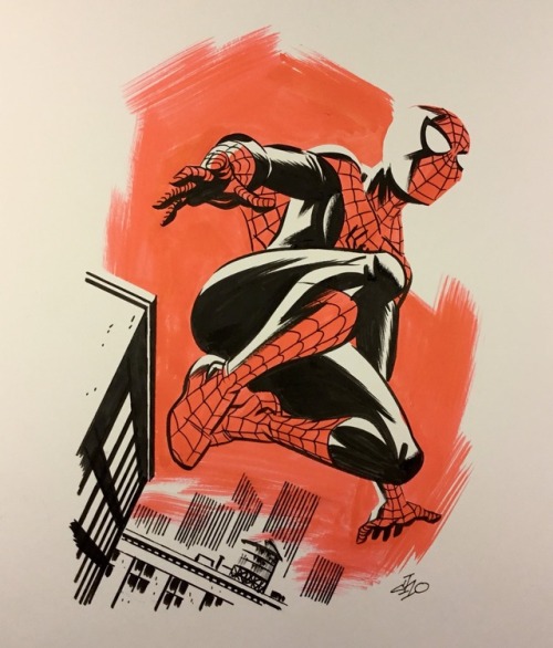 XXX wwprice1:  Incredible Spidey Michael Cho! photo