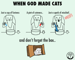 gostatisfy:    Cats make the best (and hard