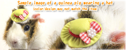 New on shop! 4 new designs for Guinea Pig Hats.