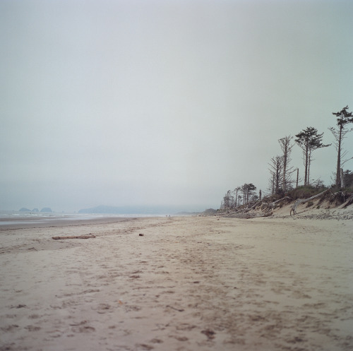 sickpage:Saria DyCape lookout state park, 2013