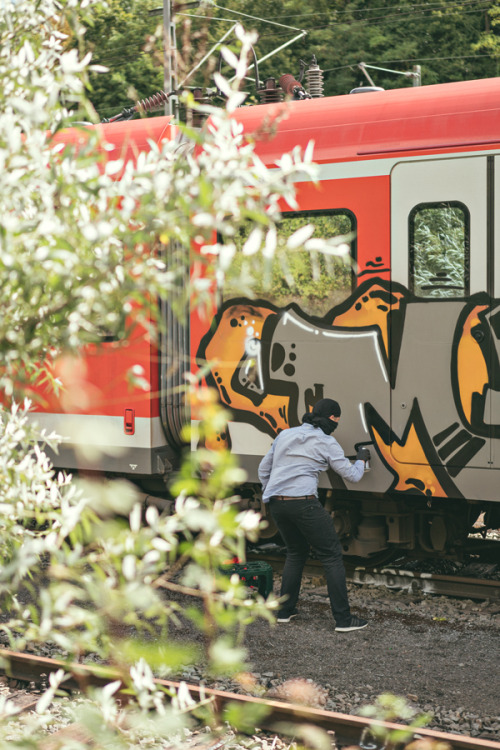 edwardnightingale:  Mesk, Stuttgart 2016