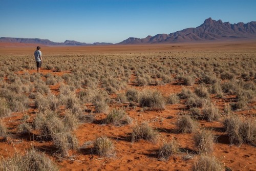 A mathematician uses math and ecology to try to solve the mystery of the Namibian fairy circles.&nbs