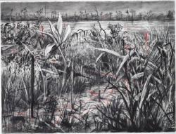 William Kentridge, Colonial Landscapes, 1995-96