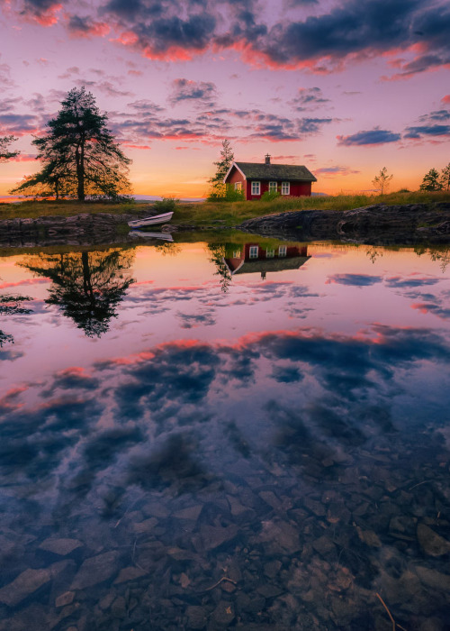 coiour-my-world:The foreground ~ by Jørn Allan Pedersen
