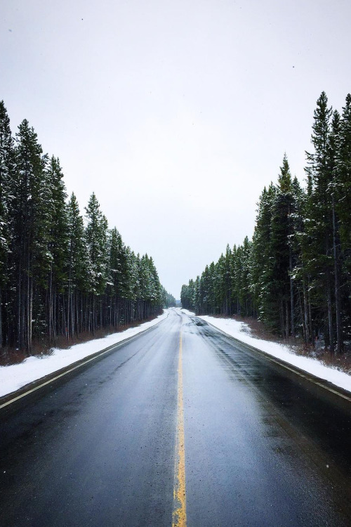 banshy:Kananaskis Country // Stevin Tuchiwsky