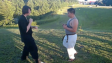heroofomegle:  Shaolin Bird Kung Fu (video) 