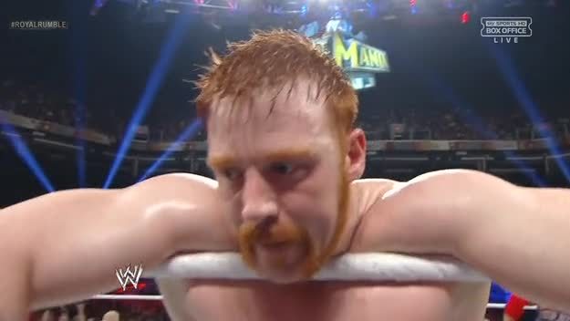 dixiewildflower:  Sheamus’ sex hair from last night.