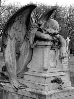 a-loss-forever-new:Friedhof Budapest by Katjas