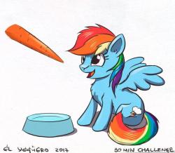 30minchallenge:Little pet Dashie seems really