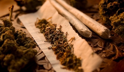 http://blowmelikekushhh.tumblr.com/post/121986216194