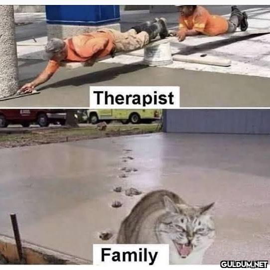 Therapist Family   Kaynak