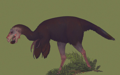 rcrisdraws:  Incisivosaurus