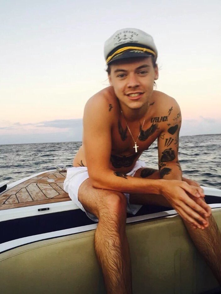 hairycelebs:  lovesunsetroyal: Harry Styles on a yacht photographed by his mother.