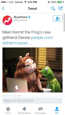 sft425:  surprisebitch:  h0odrich: herspanic:  A lot of drama in the muppet world 👀👀👀  Kermit is a pig fetishizer   @anaisalicious