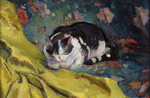 Cat  -    Ludwig ten Hompel, 1912, German,1887-1932oil on canvas, 59 x 72 cm