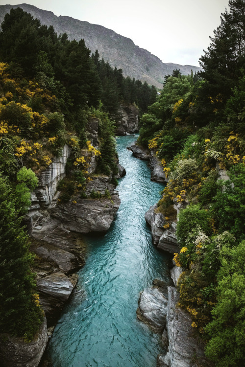 elvenforestworld: Mirkwood Shotover River - Arthurs Point, New Zealand. By Antoine Chanel   