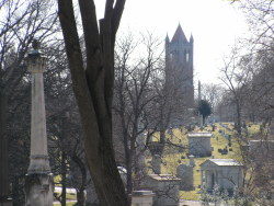 g63heavenonearth:  Allegheny Cemetery 22216-15