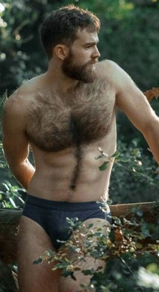 bruce66stuff:masculinitydefinition::Http://masculinitydefinition.tumblr.comHot bearded  and furry  men 
