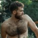 bruce66stuff:masculinitydefinition::Http://masculinitydefinition.tumblr.comHot bearded  and furry  men 
