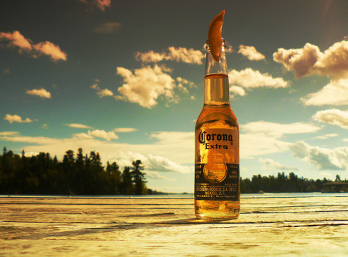 lillypotpie: 243/365: Lake life by *Lemur* on Flickr.