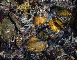 rivermusic:  bwwhitney:  Abstract river for