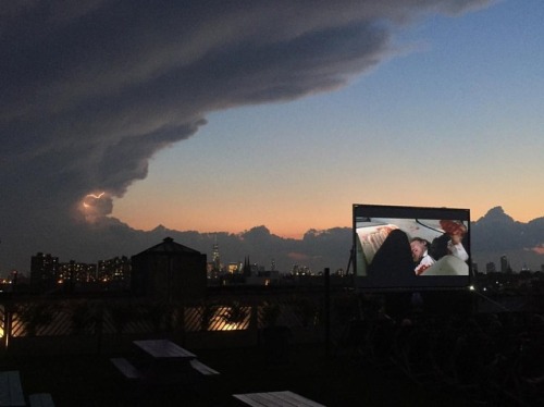 mhmgrams: Reservoir dogs in the middle of a lightning storm