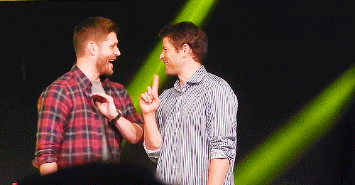 armellin:  castielplusmisha:  Oh God this is one of my favourite Misha smiles ever
