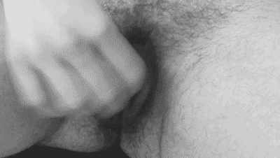 pornithology