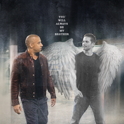 booksmakeusdream:  “No matter where you are, whether it’s a quarter mile away or half way across the world, you’ll always be with me and you will always be my brother” Paul Walker 1973 - 2013