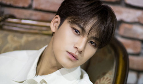 A statement released by Pledis Ent. regarding one of Seventeen’s members, Mingyu, who was accu