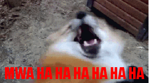 Someone Foolishly Gave Full Sugar Energy Drink And I'm About To Make It Everyone's Problem