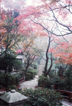 naturae:  Burning leaves at Mitaki Temple (1) (by Len_S_62808189) 