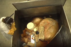sixpenceee:   The heart of a blue whale with