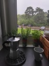 amaranthdesires:Rain means coffee and radio documentaries 