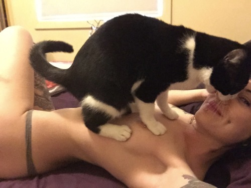 creepitreal666: He was literally nibbling my nose!  That is too cute for words.