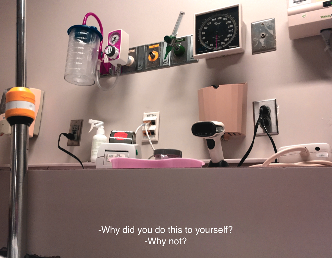 euo:  Quotes and picture from my journal from my stay at McLean Hospital