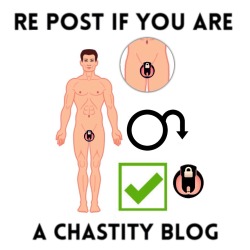 mistress-bianca:  There’s gotta be so many of my followers that will reblog this!You know whos chastity queen 😘  👍👍🔐