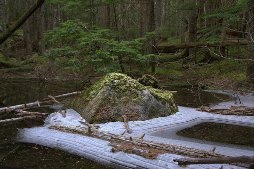 Rock in Ice by martin_nv on Flickr.
